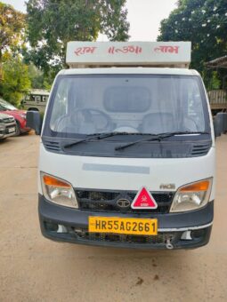 TATA ACE GOLD